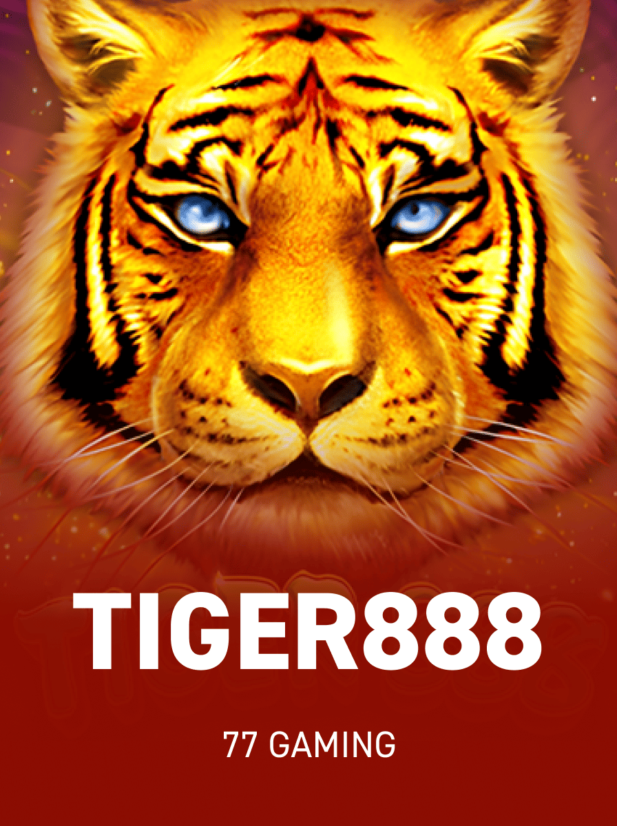 Cách Đặt Cược Hiệu Quả Trên RapidBet Direct Cho Người Mới